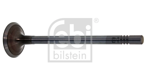 Intake Valve